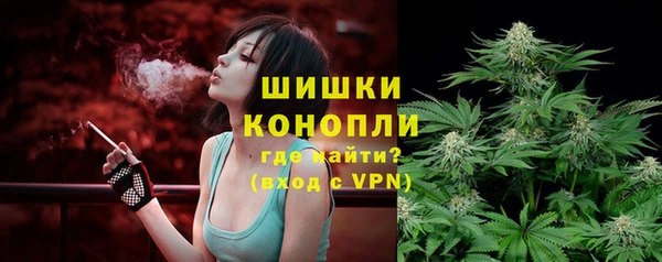 ешки Алзамай