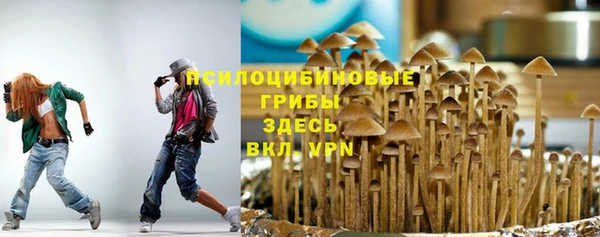 гидра Абинск